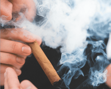 Top Hemp Cigarillo Brands of 2026: A Comprehensive Guide - SoftSmoke™