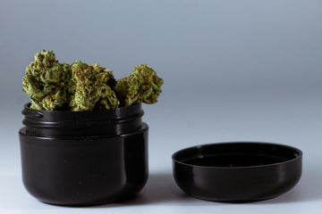 Top 10 Best Online THC Flower Suppliers in the USA - SoftSmoke™